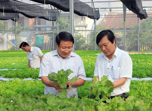 Picture 1 of Technology irrigates Israel to the driest land in Central Vietnam