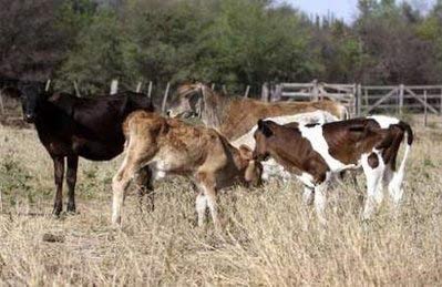 Picture 1 of Temperatures may rise to record levels next year