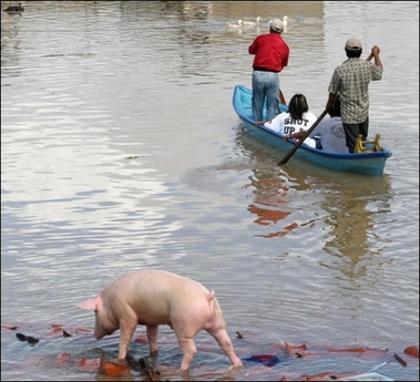 Picture 6 of Tens of thousands of Mexicans are trapped in floodwaters