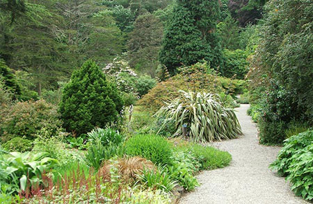 Picture 1 of Tens of thousands of plants endangered