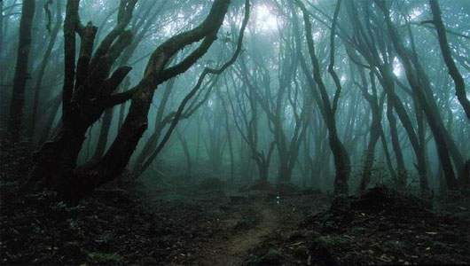 Picture 4 of Terrestrial demon triangle: Mysterious Bridgewater Land