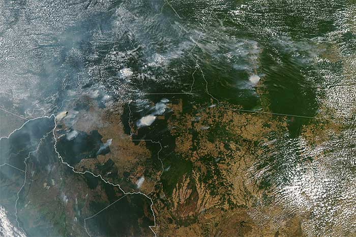 Picture 2 of Terrible consequences of the Amazon forest fire