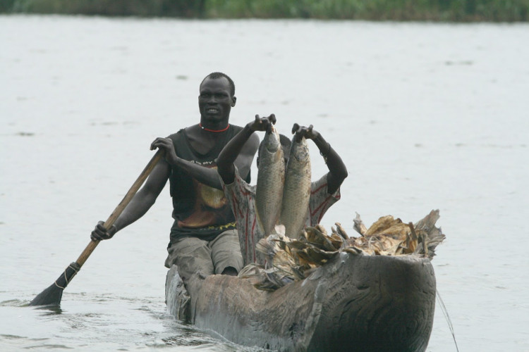Picture 1 of Terrible facts about life in the swamp