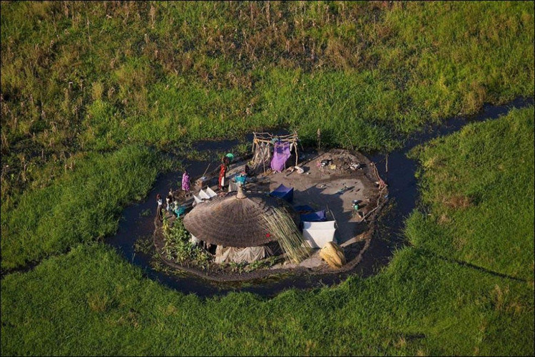 Picture 6 of Terrible facts about life in the swamp