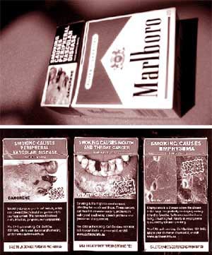 Picture 1 of Terrible harm from cigarettes
