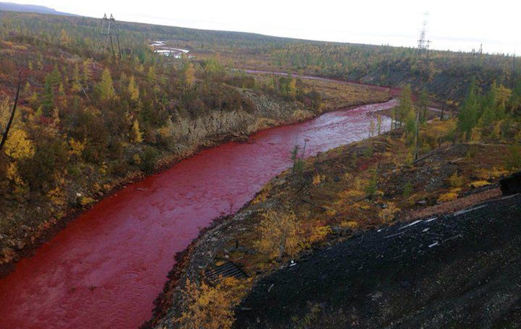 Picture 2 of Terrified because the river changed color, red like blood in Russia