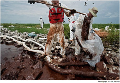 Picture 13 of Terrifying consequences from the largest oil spill in history