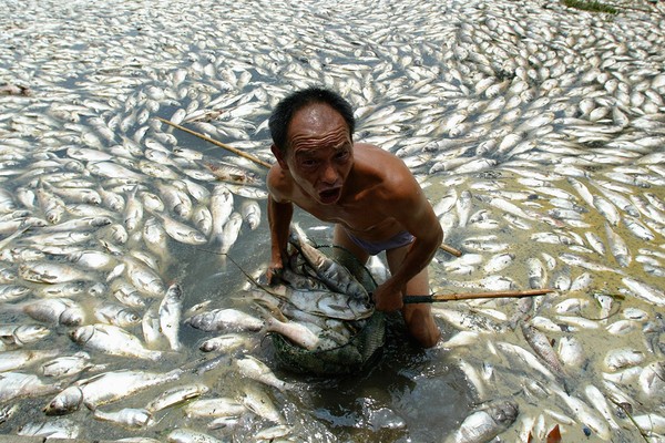 Picture 18 of Terrifying images of the situation of depleting clean water all over the world