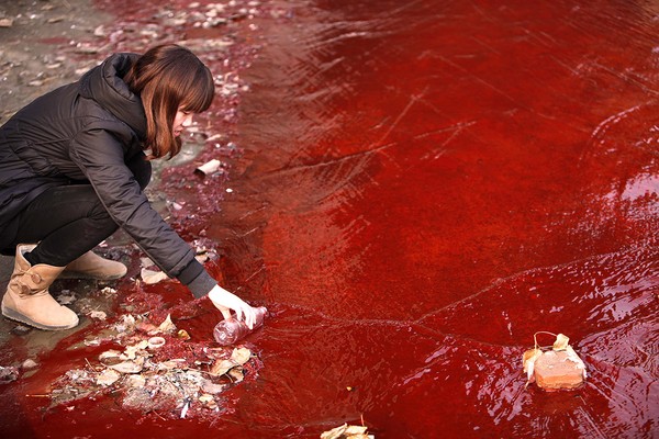 Picture 5 of Terrifying images of the situation of depleting clean water all over the world