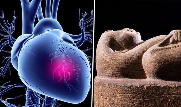 Picture 8 of Terrifying secrets hidden in the 4,000-year-old mummy series
