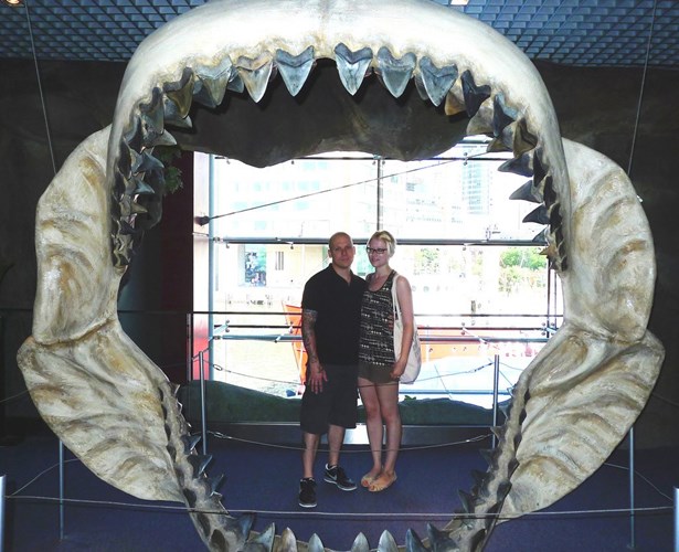 Picture 9 of Terrifying to the incredible weird sharks