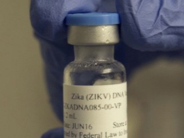 Picture 1 of Testing two Zika vaccines for positive results