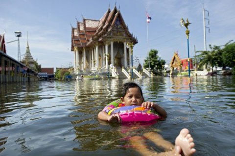 Picture 1 of Thai floods threaten marine life