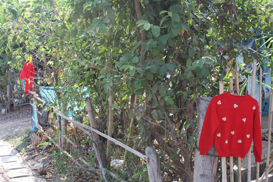 Picture 1 of Thai villagers fear 'widow specter'