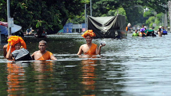 Picture 5 of Thailand: 100 wild crocodiles in the flood