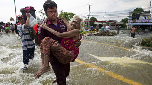 Picture 7 of Thailand: 100 wild crocodiles in the flood