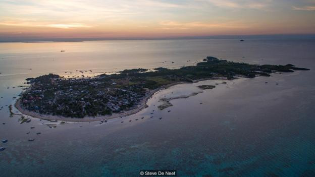 Picture 3 of Thanks to sharks, the pearl island in the Philippines revived miraculously