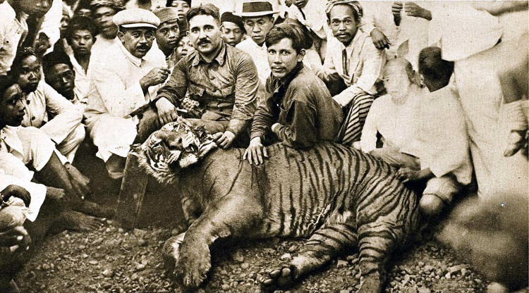 Picture 7 of The 10 largest natural extinctions since the 1990s