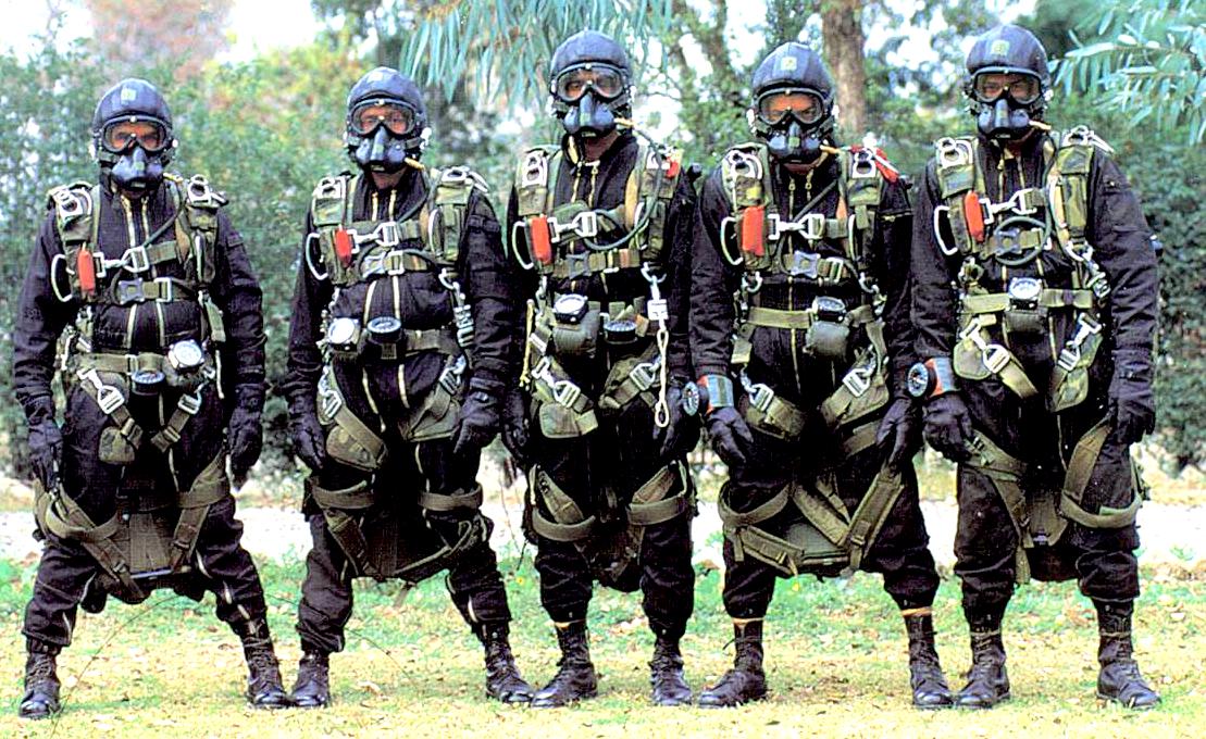 Picture 3 of The 10 most 'killer' task forces in the world