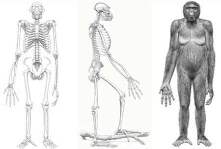 Picture 6 of The 10 most remarkable scientific findings of the year