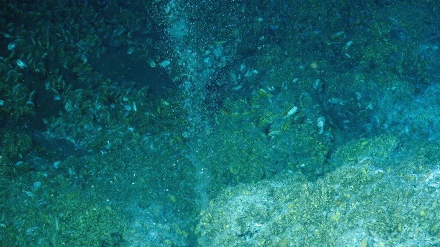 Picture 7 of The 10 most shocking mysteries of the ocean floor