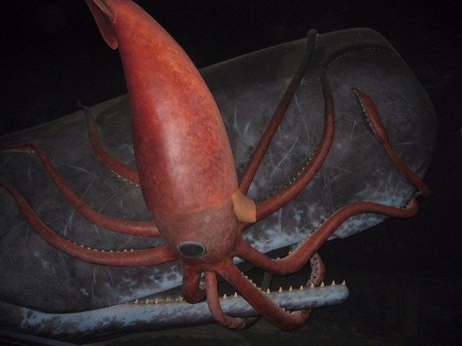 Picture 8 of The 10 most shocking mysteries of the ocean floor