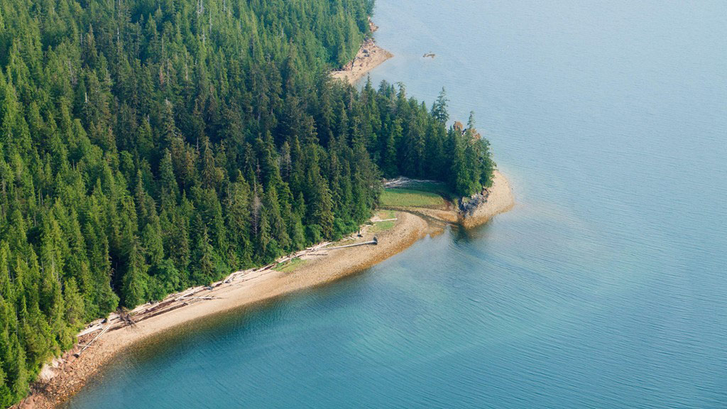 Picture 10 of The 10 oldest forests on earth
