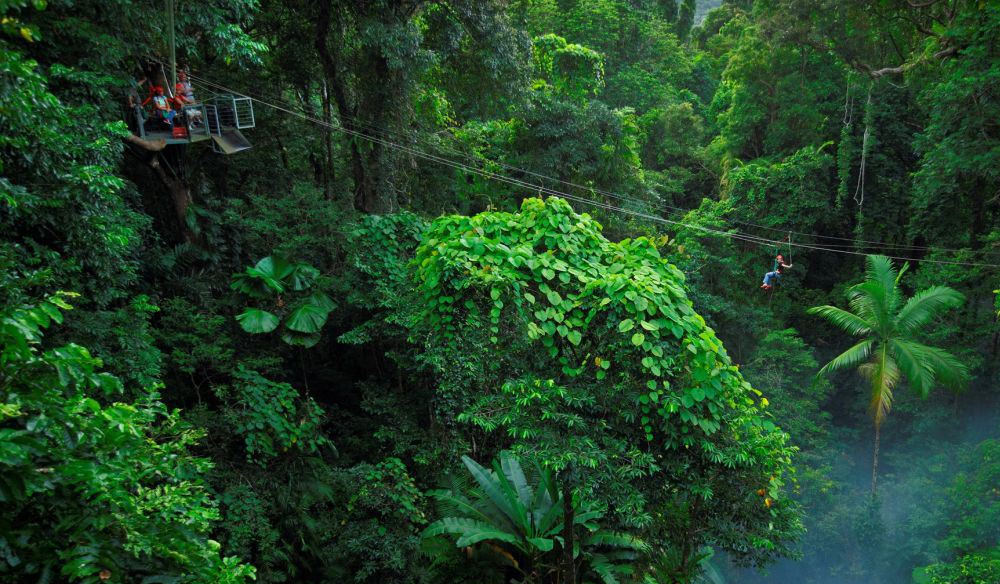 Picture 5 of The 10 oldest forests on earth