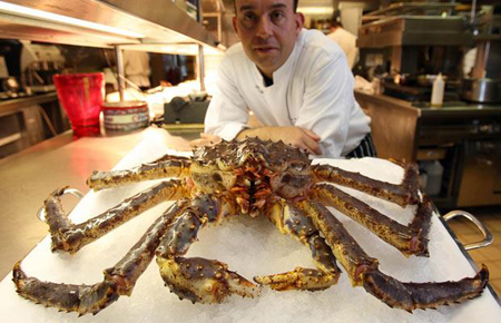 The 10 scariest assassins in the ocean images 3