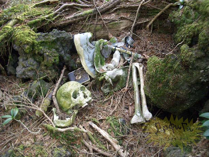 Picture 15 of The 10 scariest places in the world