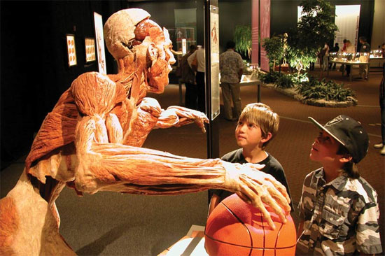 Picture 4 of The 10 weirdest burial procedures in the world