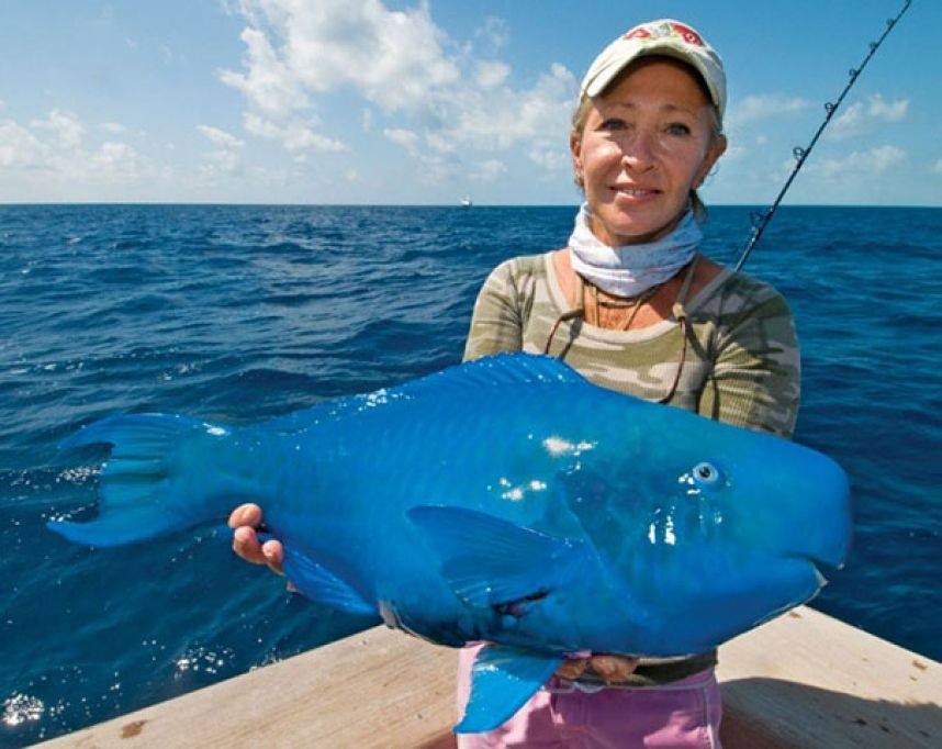 Picture 10 of The 10 weirdest 'monsters' on the planet