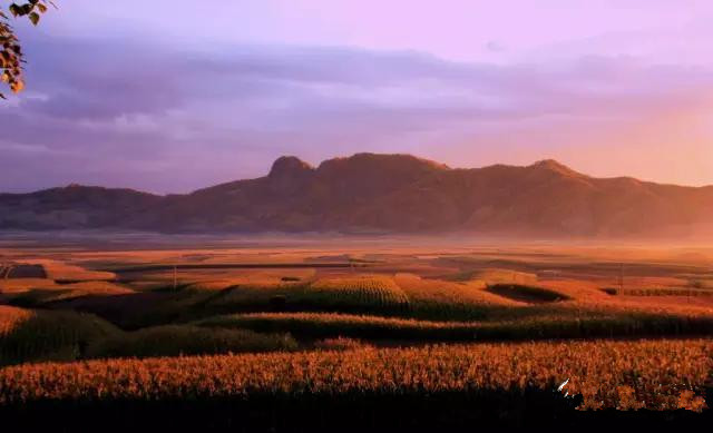 Picture 5 of The 10 wonders of nature 'The most magical sleeping Buddha' in the world