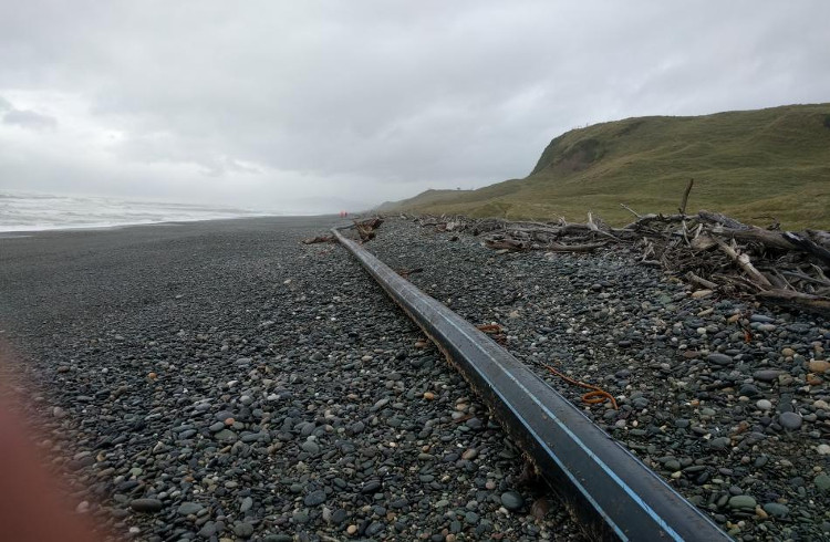 Picture 1 of The 100m-long strange tube washed over the coast of New Zealand
