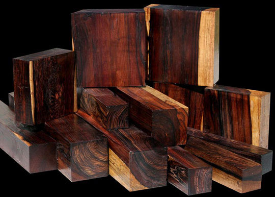 Picture 6 of The 12 most rare and expensive woods in the world