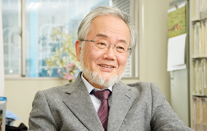Picture 1 of The 2016 Nobel Prize for Medicine honors the study of cell self-destruction