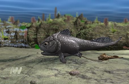 Picture 1 of The 380-million-year-old fish fossil carries the fetus