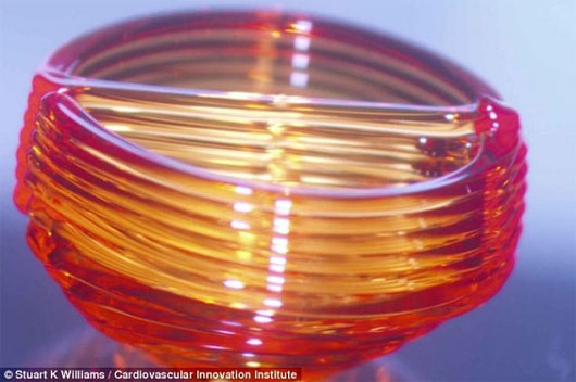 Picture 2 of The 3D 'human heart' is about to become a reality