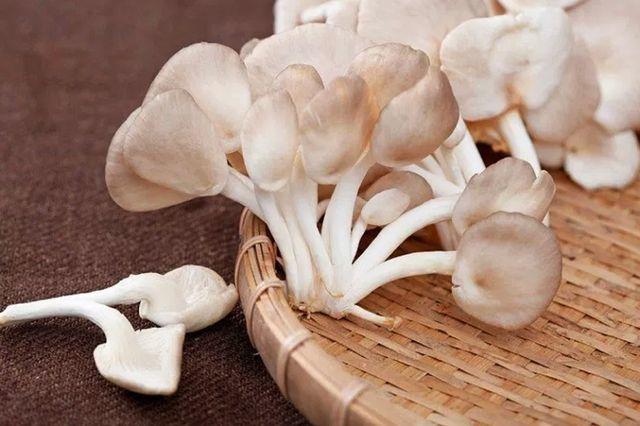 Picture 2 of The 5 best mushrooms to prevent type 1 carcinogens, make kids smarter