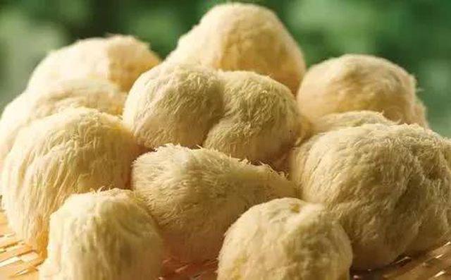 Picture 3 of The 5 best mushrooms to prevent type 1 carcinogens, make kids smarter