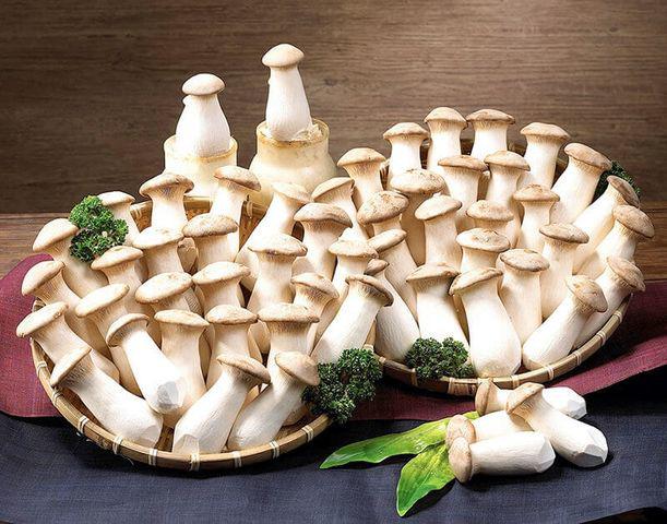 Picture 4 of The 5 best mushrooms to prevent type 1 carcinogens, make kids smarter
