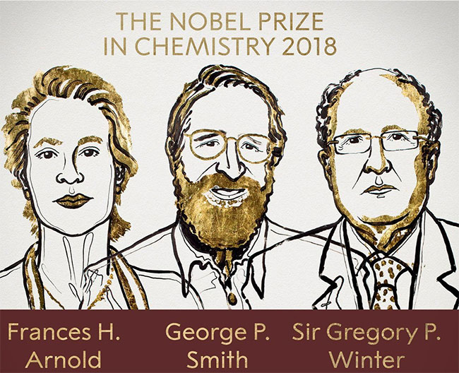 Picture 3 of The 5th woman to win the Nobel Prize in History in history
