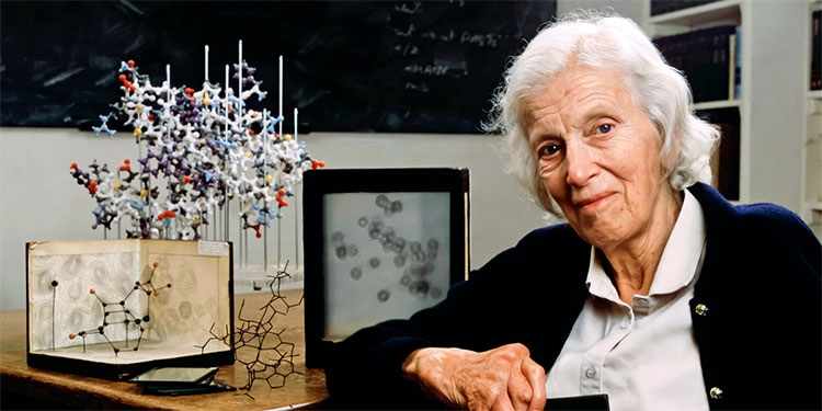 Picture 5 of The 5th woman to win the Nobel Prize in History in history