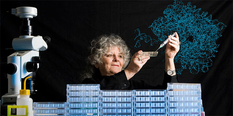 Picture 6 of The 5th woman to win the Nobel Prize in History in history