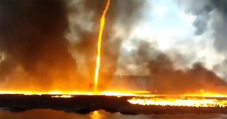 Picture 1 of The 60 meter high fire demon swallowed the fire hose