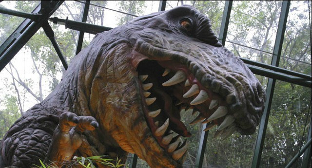 Picture 1 of The 66 million-year-old rare dinosaur fossil was found in Colorado