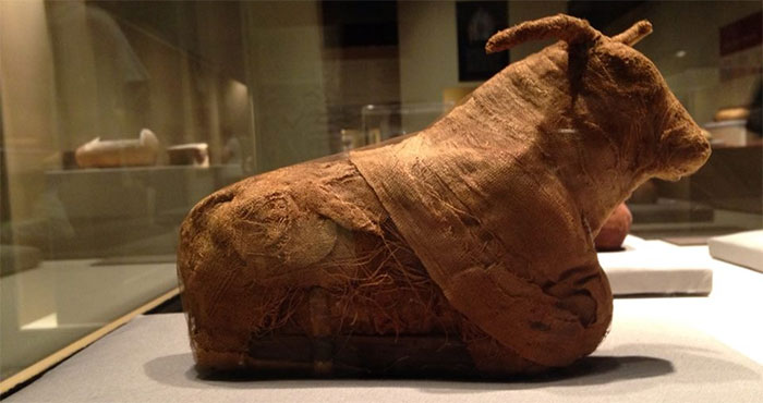 Picture 2 of The 90-ton coffin contained the male mummy