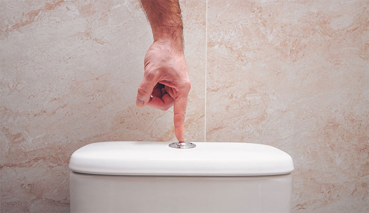 Picture 1 of The action you must take before you flush the toilet