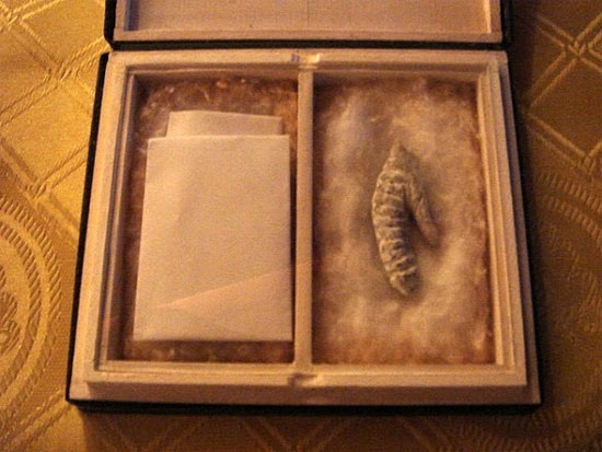 Picture 5 of The 'adventurer' corpses of famous people