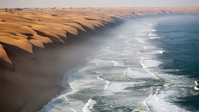 Picture 3 of The amazing survival strategy of beetles lives in one of the driest deserts in the world